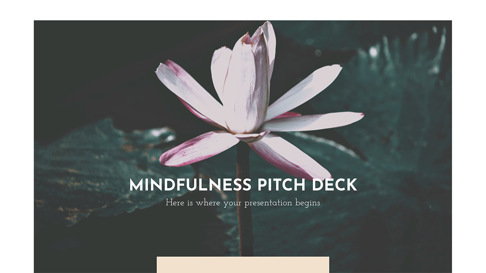 Mindfulness Pitch Deck