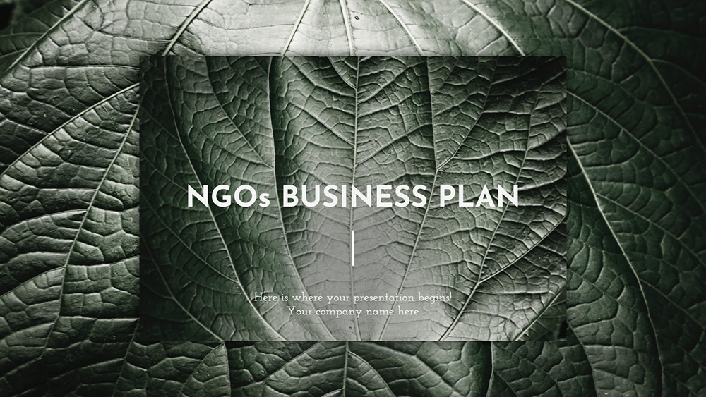 NGOs Business Plan