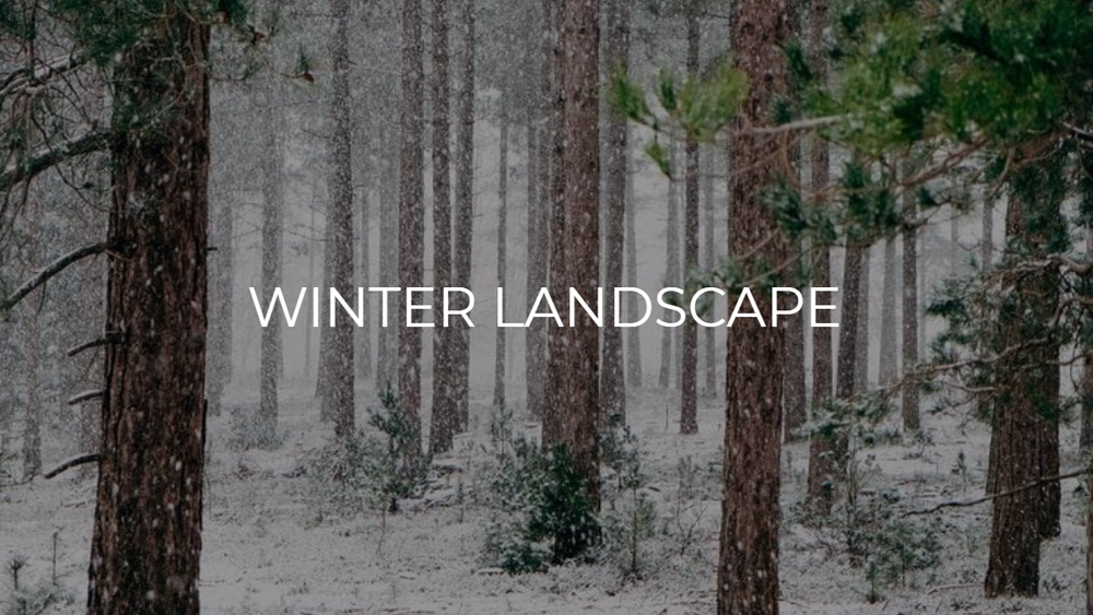 Winter Landscape