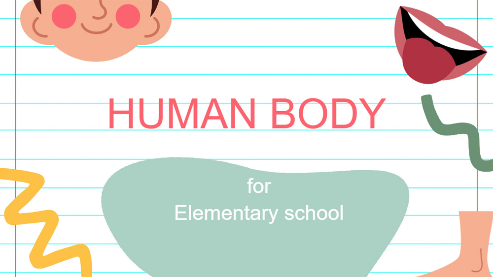 Elementary school human body