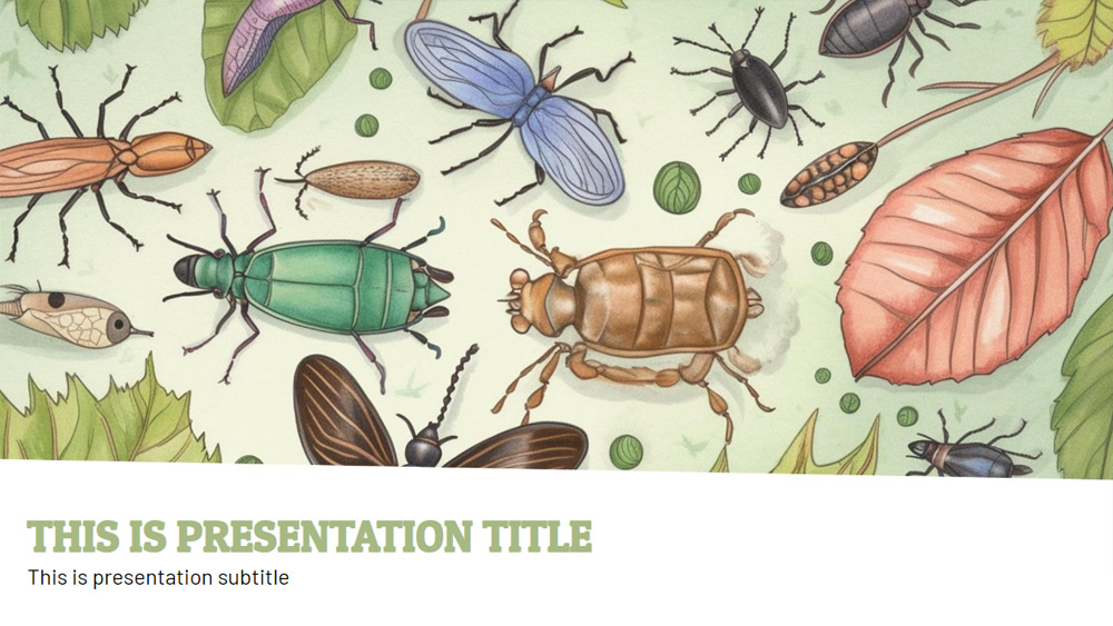 Insects: PowerPoint, Slides