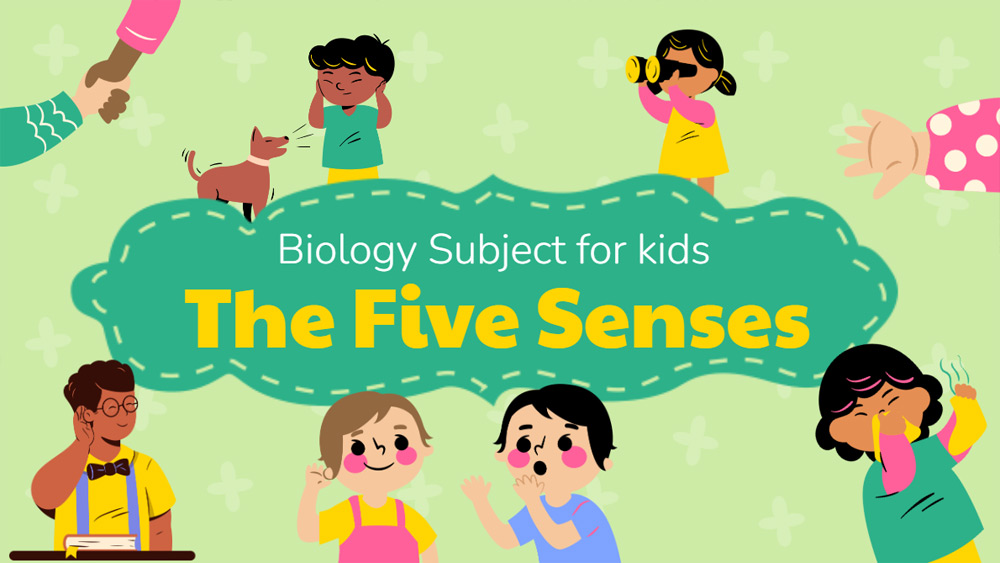 Five Senses in Biology
