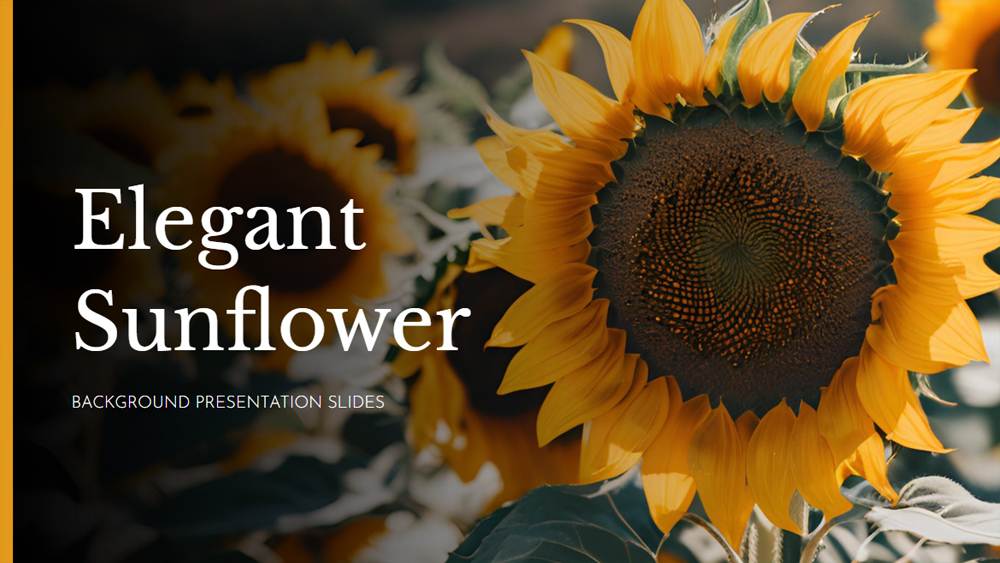 Sunflower Elegance