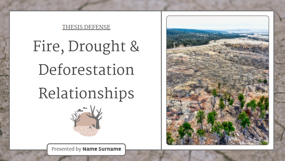 Fire, Drought & Deforestation: Thesis Defense