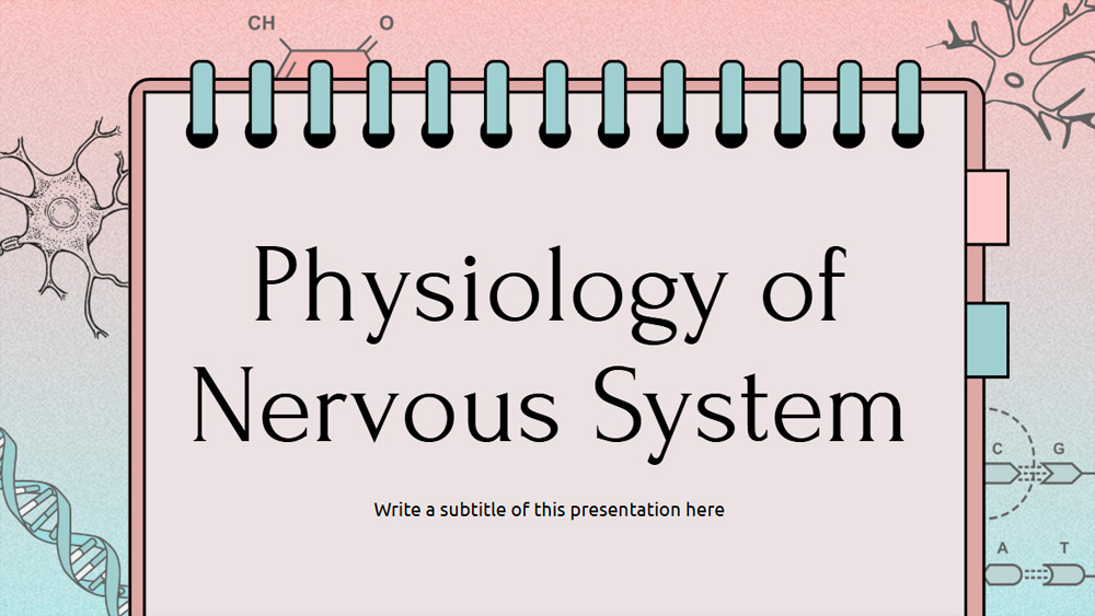 Nervous System Function