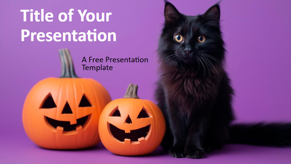 Pumpkin Whiskers