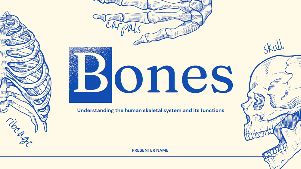 Bone Theme
